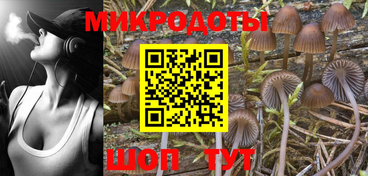 Псилоцибиновые грибы MAGIC MUSHROOMS  Галлюциногенные грибы ЛСД  Губкинский  Вход с VPN 
